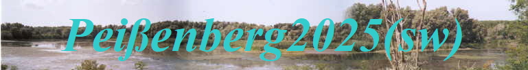 Peienberg2025(sw)